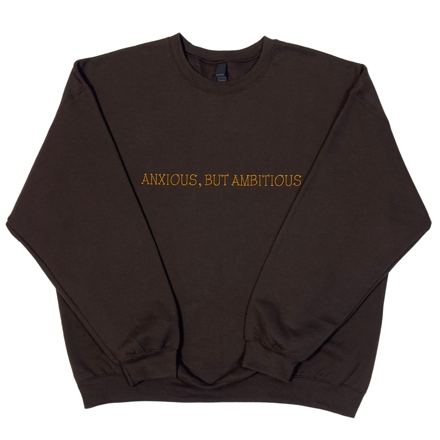 "Anxious but Ambitious" Embroidered Sweatshirt